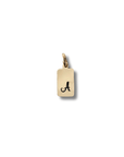 Bedel met letter | Tag | GOUD - GOLD FILLED - Kleine Zus