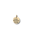 SOS bedel met telefoonnummer | 10 mm | GOUD - GOLD FILLED - Kleine Zus